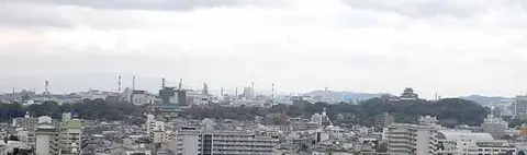 和歌山出張