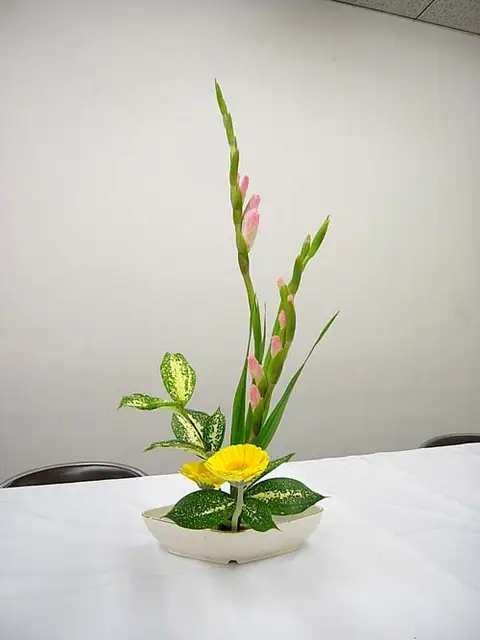 アラフォーの手習い