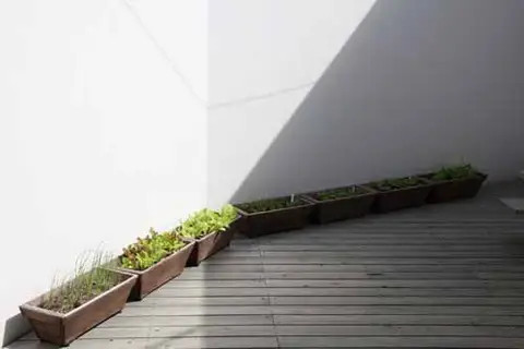 キッチンコンテナ