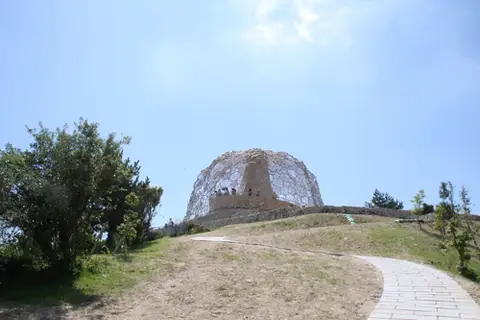「六甲枝垂れ」