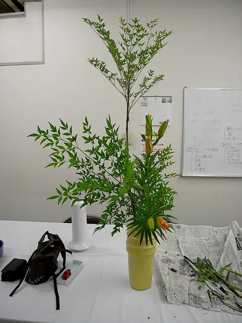 近頃のお花