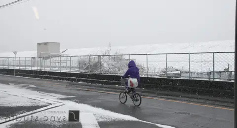 白い堤防