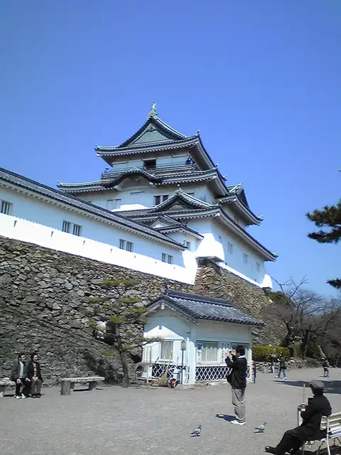 和歌山城の紅しだれ