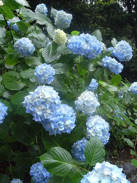 次の十年も・・・。