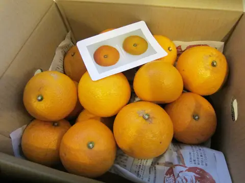 うれしい贈り物