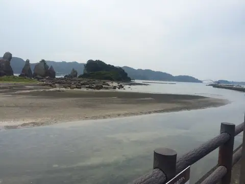 海とまぐろ漬け丼