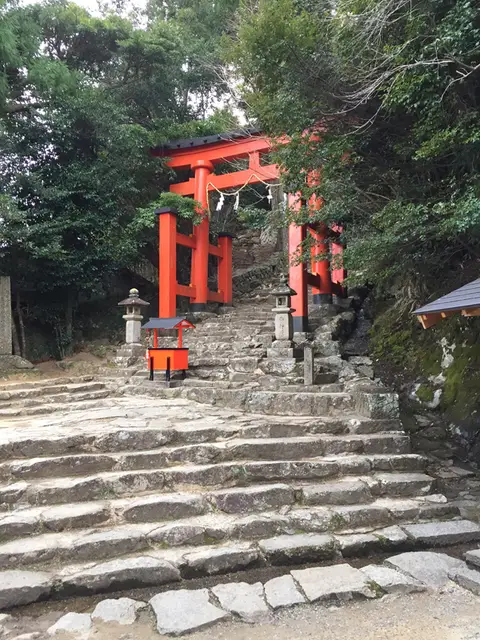 登ってみました。