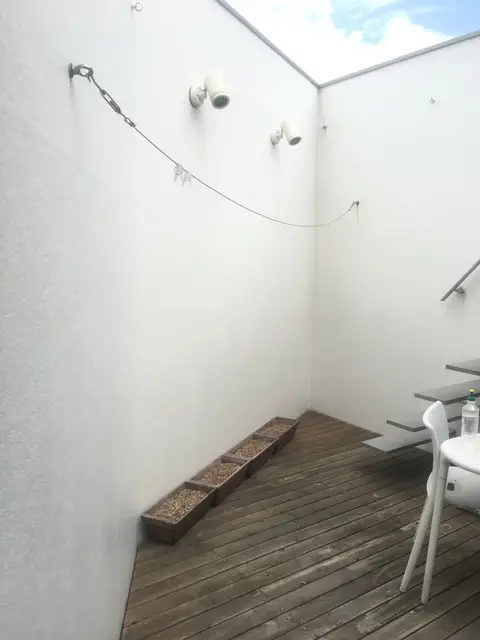ベランダ菜園再開