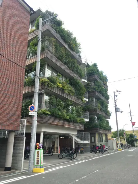 保育園参観