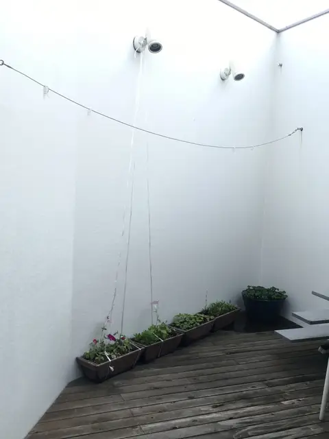 いきものがかり