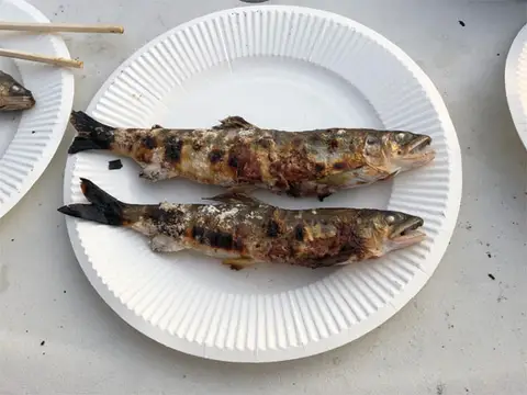 with salt