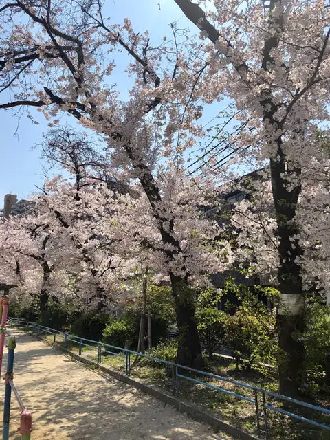密ではありません