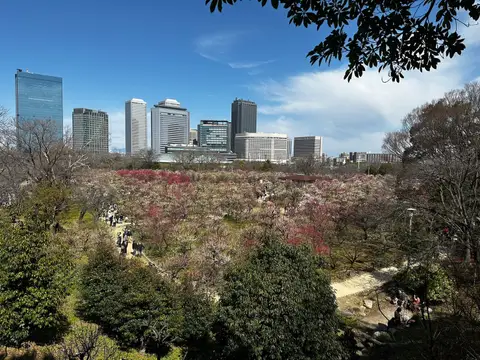 藤田美術館