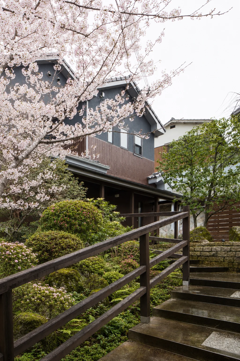 あけぼのリノベーション。満開の桜と庭の植栽に囲まれた階段から、玄関へ続くアプローチを望む
