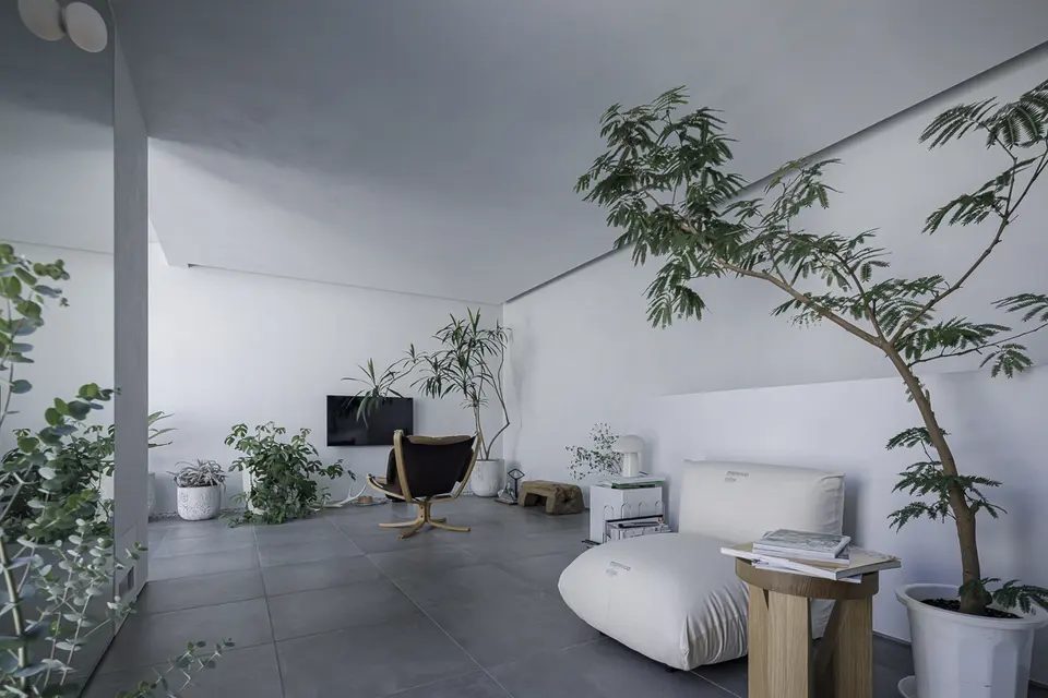 宝塚のライトコートハウス。グレーのタイル床に白いソファと木製の椅子を配した、観葉植物に囲まれたリビング。